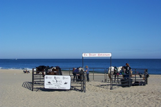 HorseRidesCorral1Crop