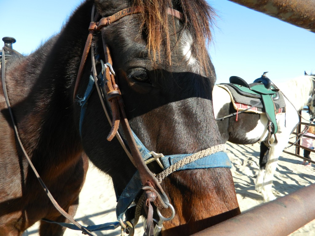 Hello. Nice to meet you.