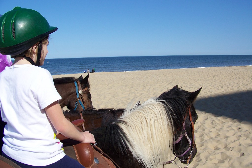 A horse girl in the making.