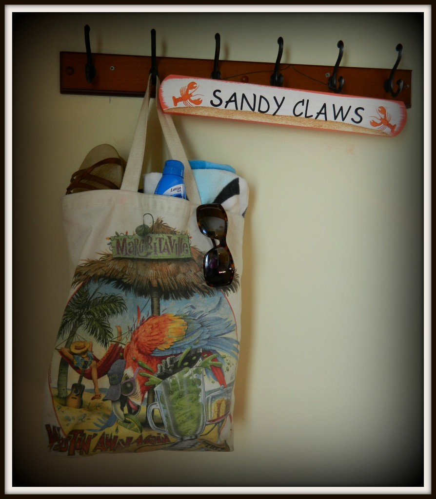 This is my current all-around go everywhere type of bag.  You can't go wrong with Margaritaville.