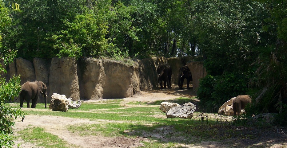 AKSafariElephantsCrop