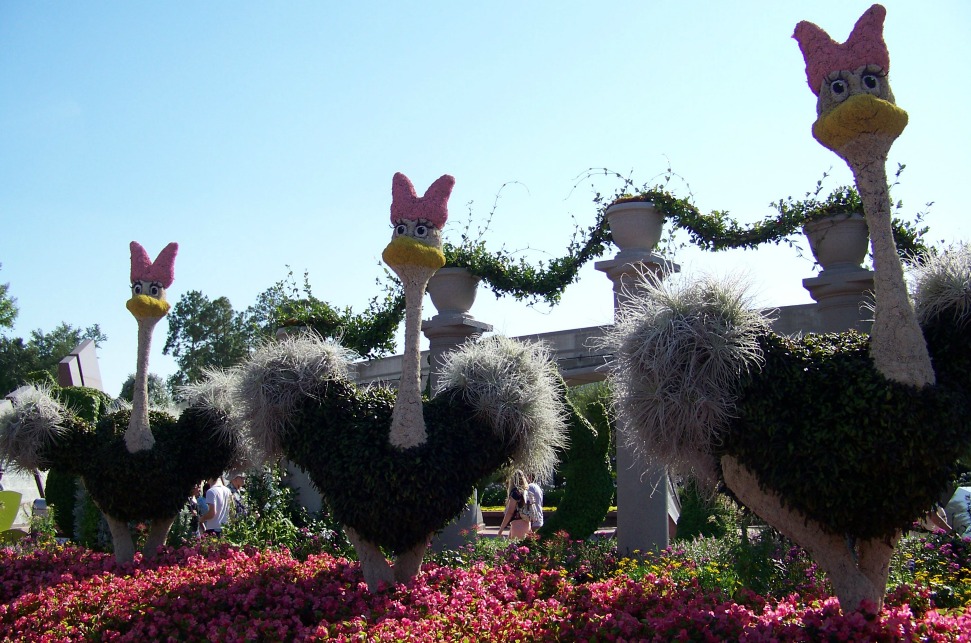 Ostriches in topiary form.