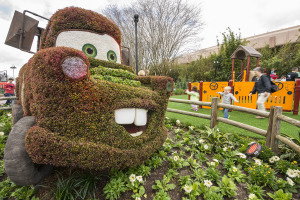 Mater Photo: Matt Stroshane