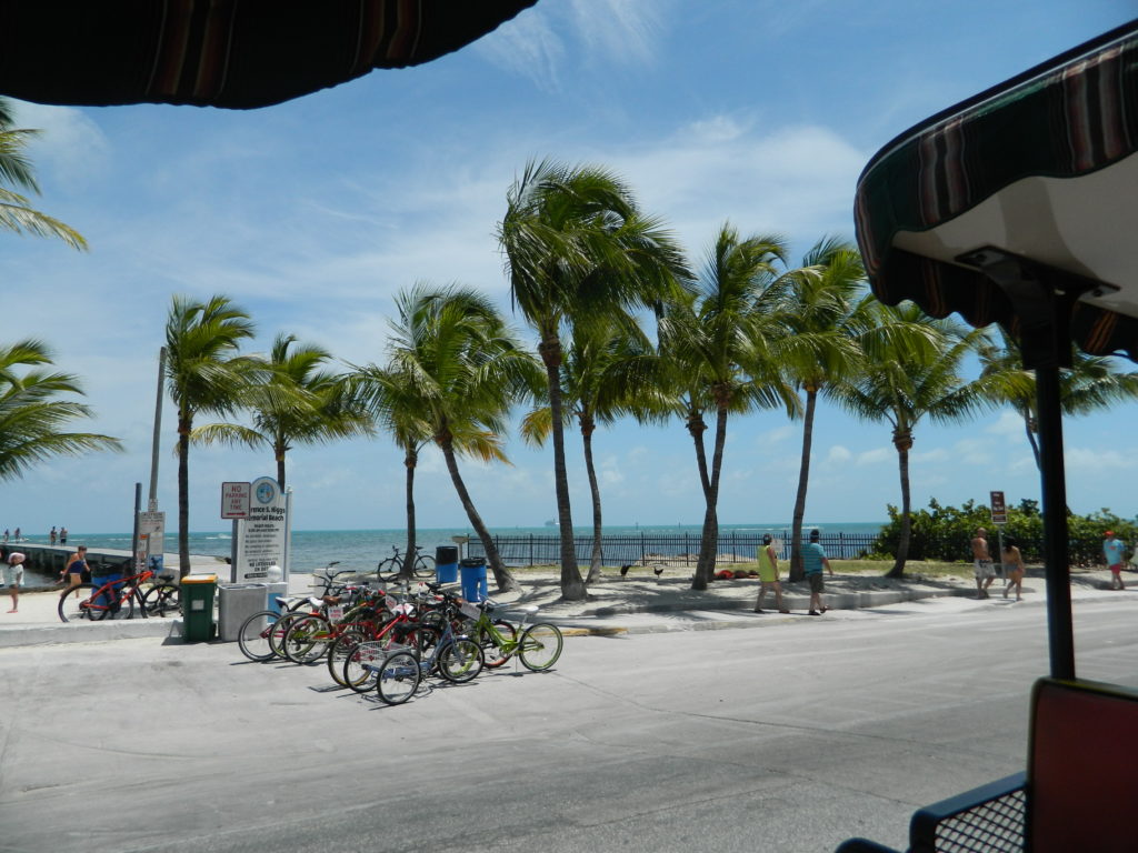 Bikes and palms.