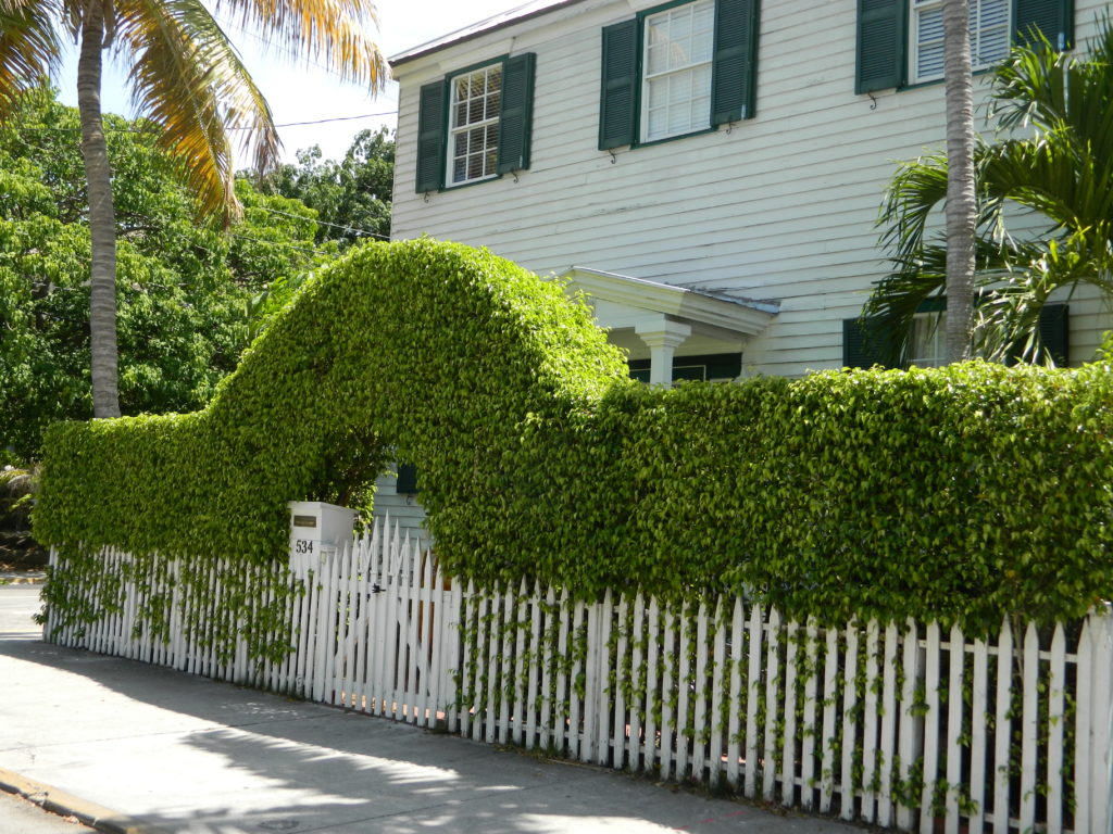 How awesome is this organic arch?
