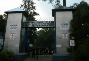 Wendigo Woods entrance Photo: Sandy Allen