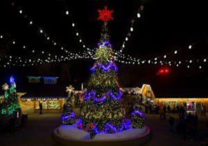 Photo: Busch Gardens