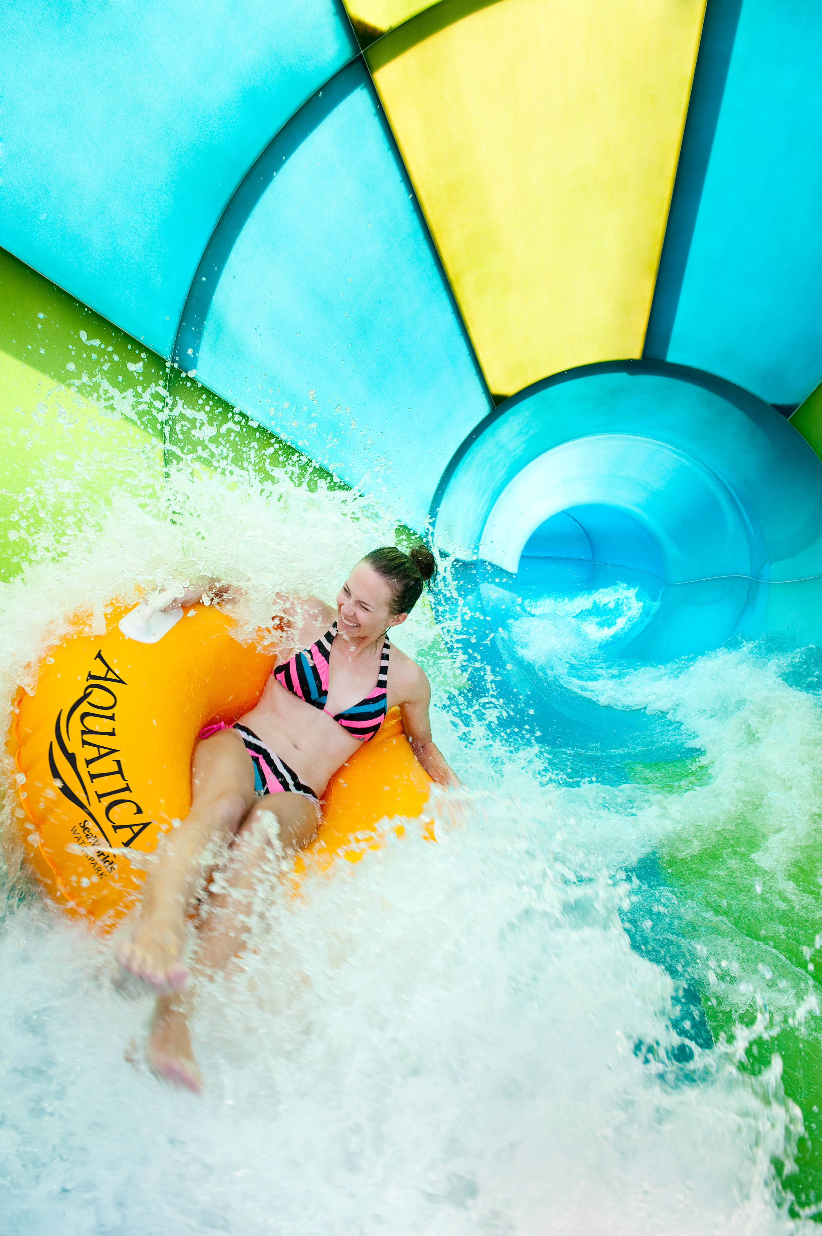 Black Friday 2018 Blue Friday Deals At Seaworld Orlando